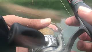 10月7日 フリックシェイクネコリグ チビ