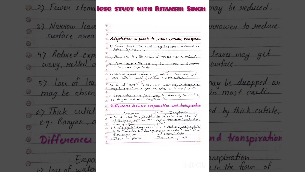 Biology transpiration chapter notes