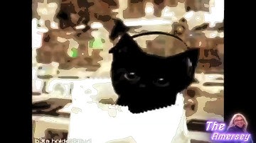 Preview 2 Numa Cats V8 Random Effects