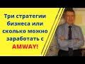 Три стратегии бизнеса или сколько можно заработать в Амвей!