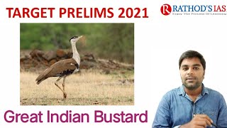 Target Prelims-2021 : Great Indian Bustard / UPSC/IAS