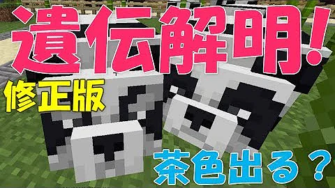 マイクラスイッチ対応コマンド茶色のパンダの出し方