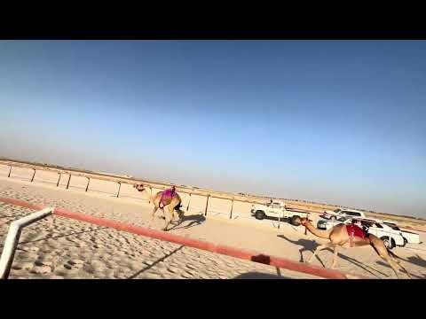 ١ سلابه ملك عويد بن ناصر الهاجري