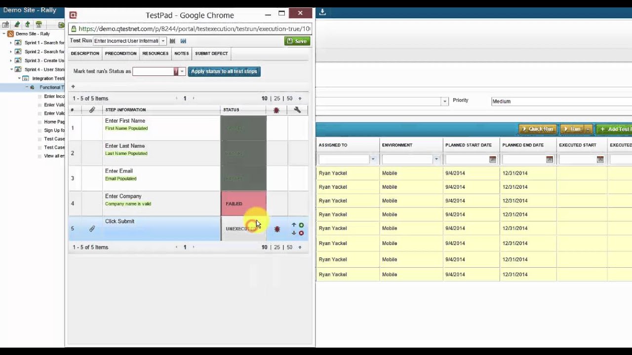 rally software
