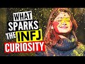 10 Things That SPARK The INFJ CURIOSITY | The Rarest Personality Type