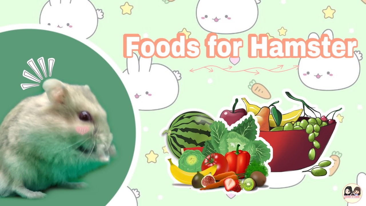 [Daily life] RAU CỦ QUẢ PHÙ HỢP VỚI HAMSTER Hamster safe vegetables and fruits Cherry n