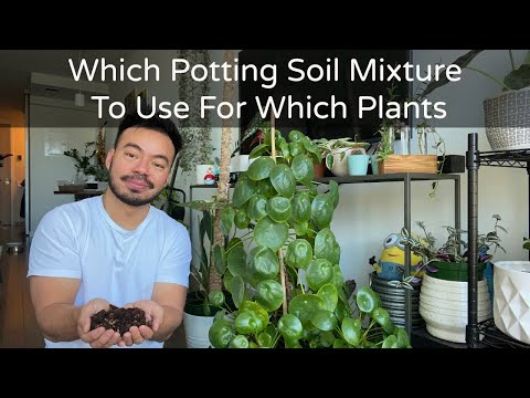 Potting Soil Mixture For Your Indoor Plants + Repotting Houseplants