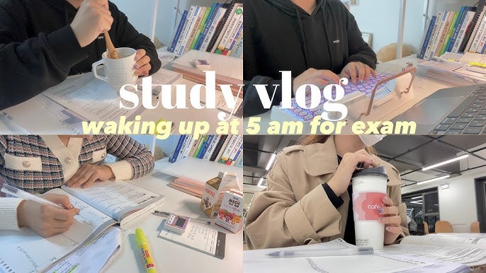 study vlog 2 #fyp #study #vienna #vlog #vlogs #studyvlog #vlogger