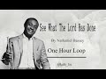 See what the lord has done one hour loop  nathaniel bassey
