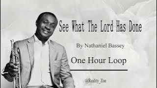 See What The Lord Has Done (One Hour Loop) | Nathaniel Bassey