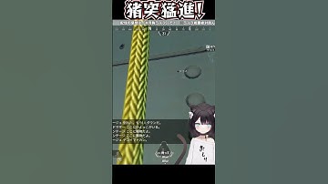 【#apex 】大事なところで伊之助になっちゃった…　#保護猫  #新人vtuber  #apexlegends　#鬼滅