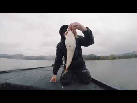 Bass Fishing at the southern Oregon coast - YouTube