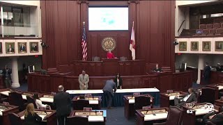 Florida electors cast 29 electoral votes for President Trump, VP Pence