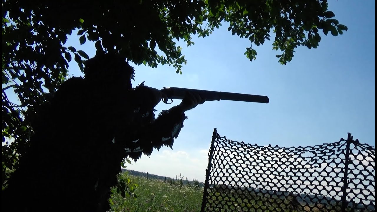 Taubenjagd Taubenjagd