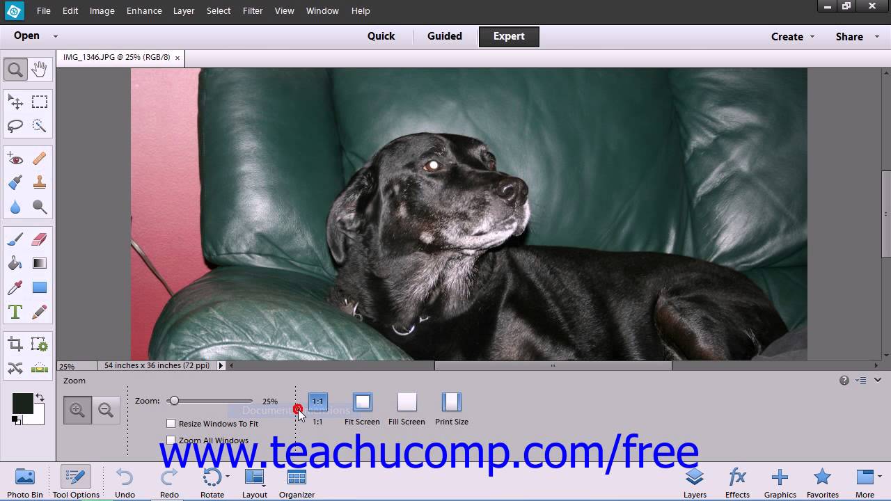 Photoshop Elements 12 Tutorial Moving the Image Adobe Training Lesson 3 ...