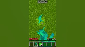 Slime Block and Twisting Vines MLG.