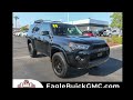 2024 Toyota 4Runner TRD Pro - Homosasss FL