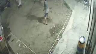 Cctv Nya Bos