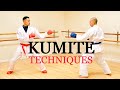 10 ultimate kumite techniques 