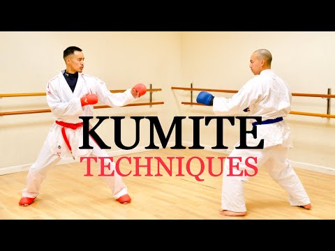 10 ULTIMATE KUMITE