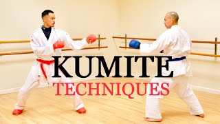 10 ULTIMATE KUMITE TECHNIQUES 🥋⛩ screenshot 3