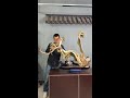 This is a unique work.