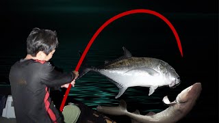 【大釣り】一夜にしてサメとGTを釣りました【宮古島VS石垣島2021ver #5】