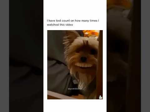 Chewy‘s nephew? 🤣🤣🤣