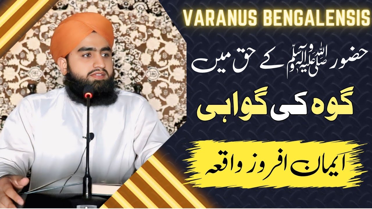 Goh Ka Qissa || گوہ کی ہمارے نبیﷺ کے حق میں گواہی || Mufti Ahmad Raza ...