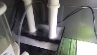 EA REEF 1200S changes to the sump (Running)