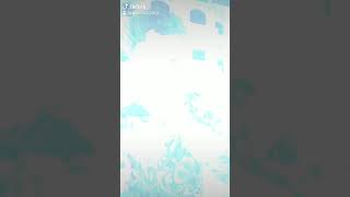 يا اللي  بعتي حبيب الروح سمعها