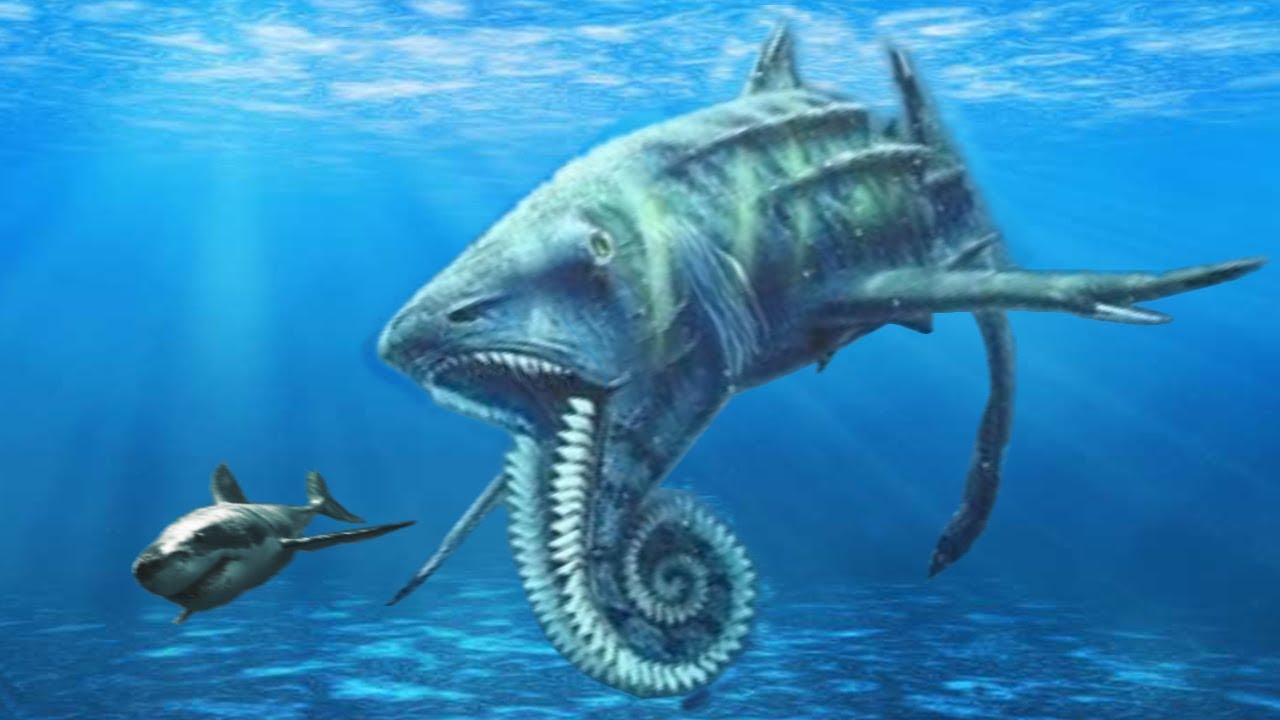10 STRANGEST Prehistoric Sharks That Ever Lived YouTube