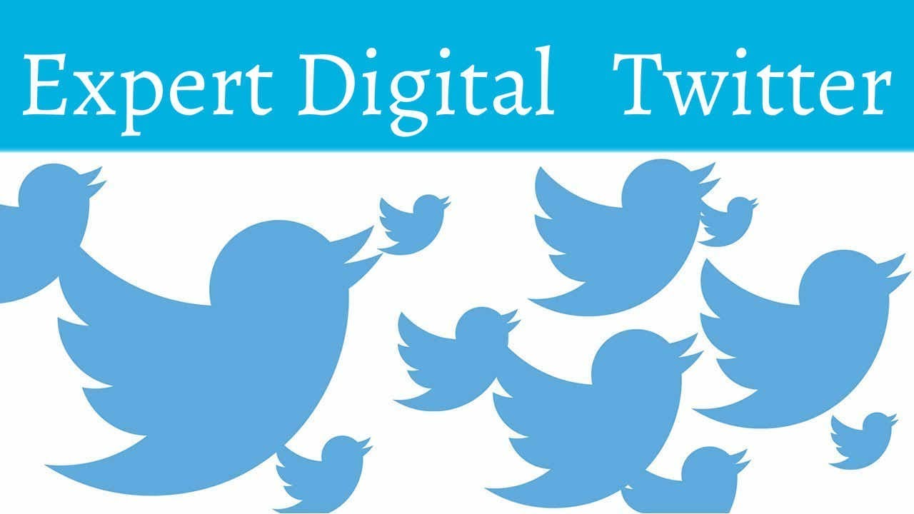 Expert Digital Twitter YouTube