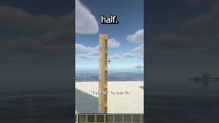 The debug stick is weird Profile