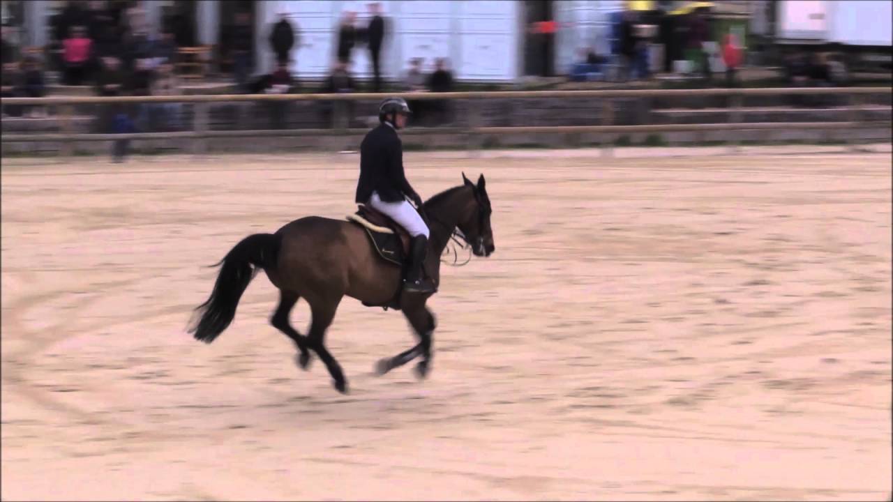 GN Cluny Thomas Rousseau et Aresse M