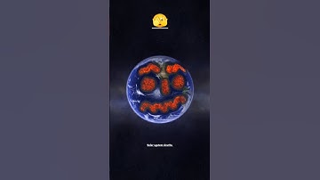 🔥 Earth 😭 vs Laser Light | Solar Smash #shorts #solarsmash #planet #trending