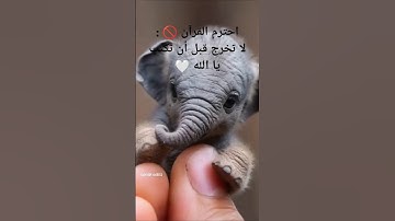 أكتب شيء تؤجر عليه 🌹.  #تلاوة_خاشعة #القرآن_الكريم #quran #تلاوة_مميزة