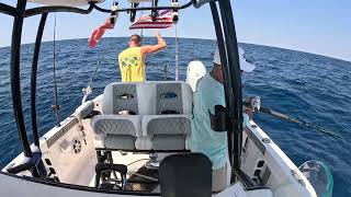 Epic day on the water.  Snappers, Big Triggerfish, Mangrove , Lanes and Red Grouper in the Gulf.