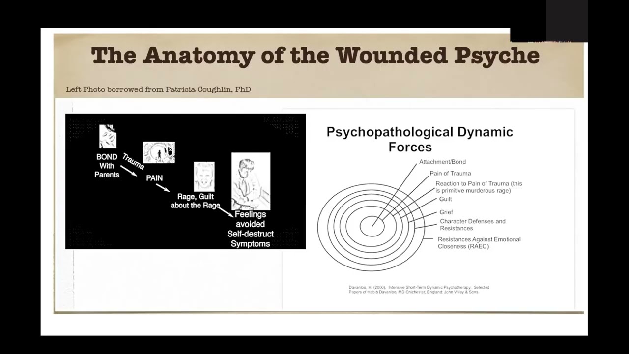 ISTDP 101: An Overview for Beginner Students 