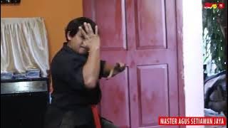 Pencak silat harimau utara😮Gerakannya cepet banget. Gerakan mematikan😰