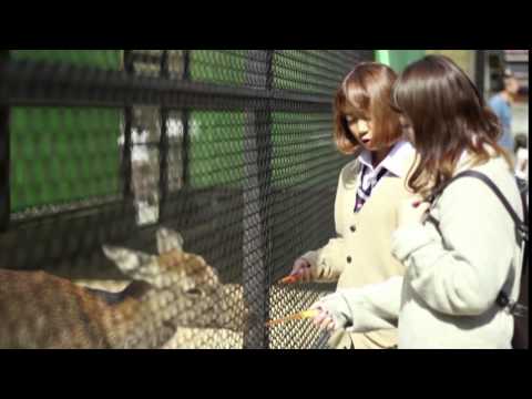 【山形ふるさとCM大賞2015】平成27年度 河北町作品「決断のとき」