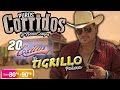 El tigrillo palma  corridos pesados mix  20 exitos 