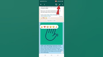 How to share whatsapp channels images and videos