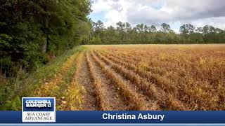 Homes for sale - 78ac Crooked Run Road, Willard, NC 28478