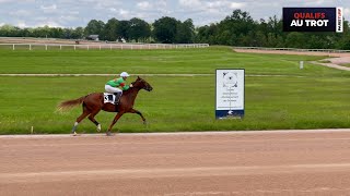 Qualifications Grosbois - Trot monté - Lot 9 du 23/05/24