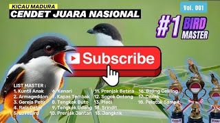 cendet gacor full isian lengkap, terbukti juara dengan kombinasi masteran ini !