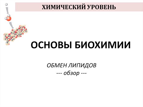 ОБМЕН ЛИПИДОВ -  часть 1 - Просто о сложном - Химия