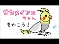 √70以上 フリーイラスト 可愛い オカメインコ イラスト 220959