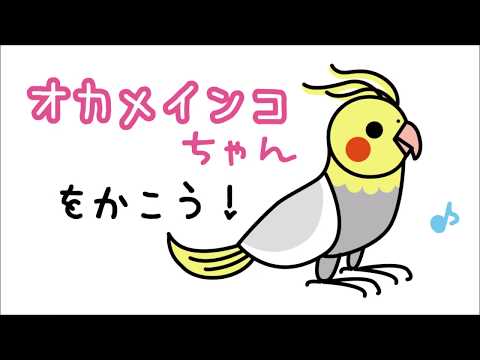 かわいい動物 オカメインコのイラストの描き方 How To Draw A Cockatiel たのしい図案教室 Happy Illustration Room Youtube