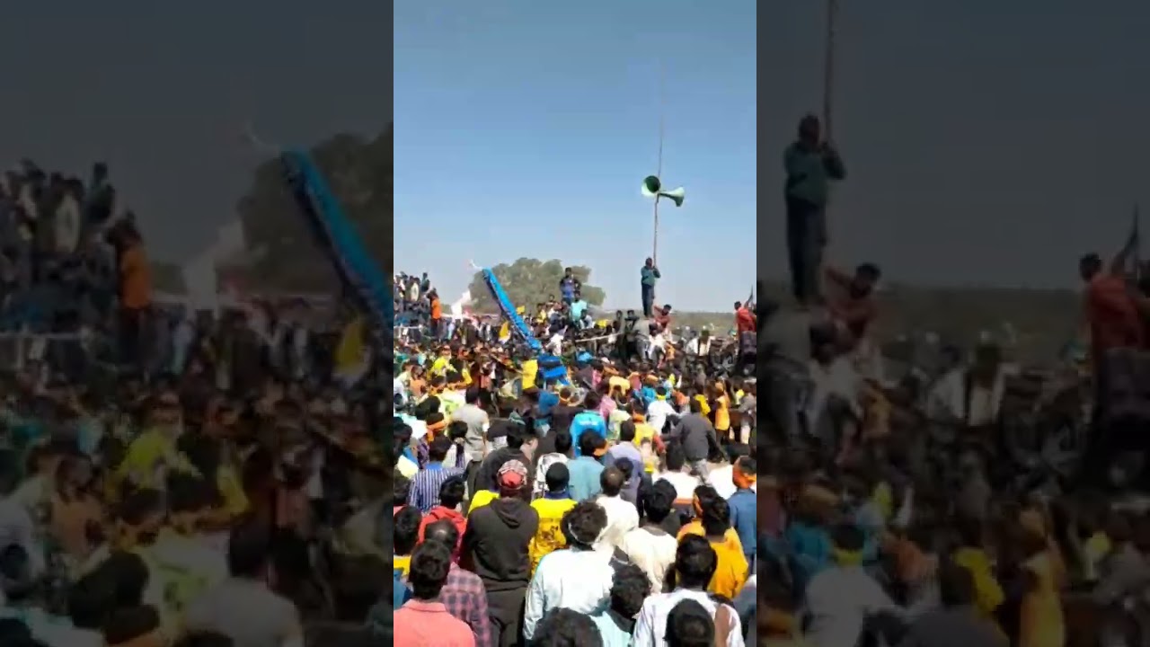 TN 70 Shooters bull Catchers mass PP catch 😈🔥😈🔥